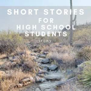 Blog - In the Classroom - 11 Short Stories High School Students Will Actually Enjoy - short stories high school