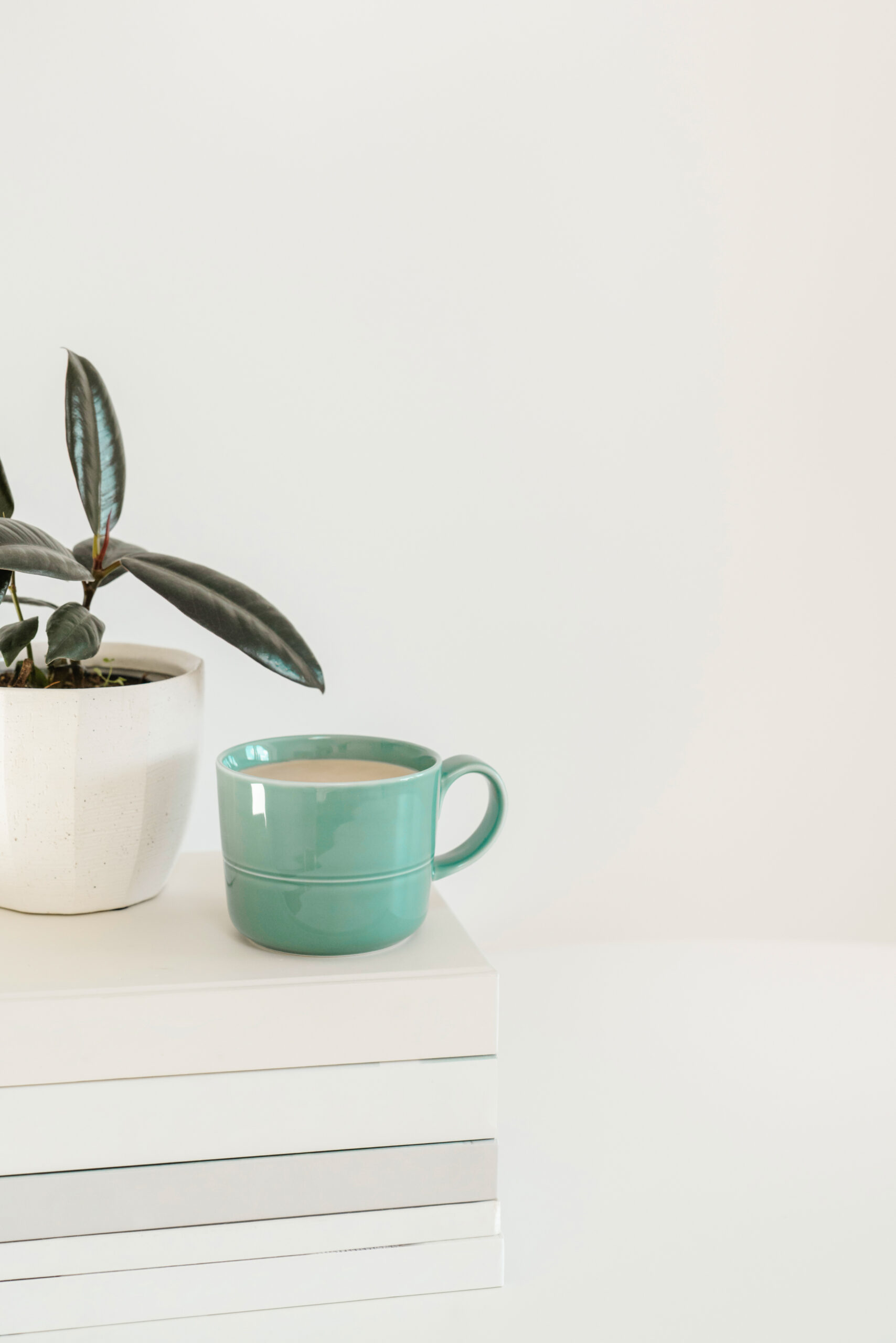 Blog - In the Classroom - 7 Excellent YA Books by Latinx and Hispanic Authors - hispanic authors