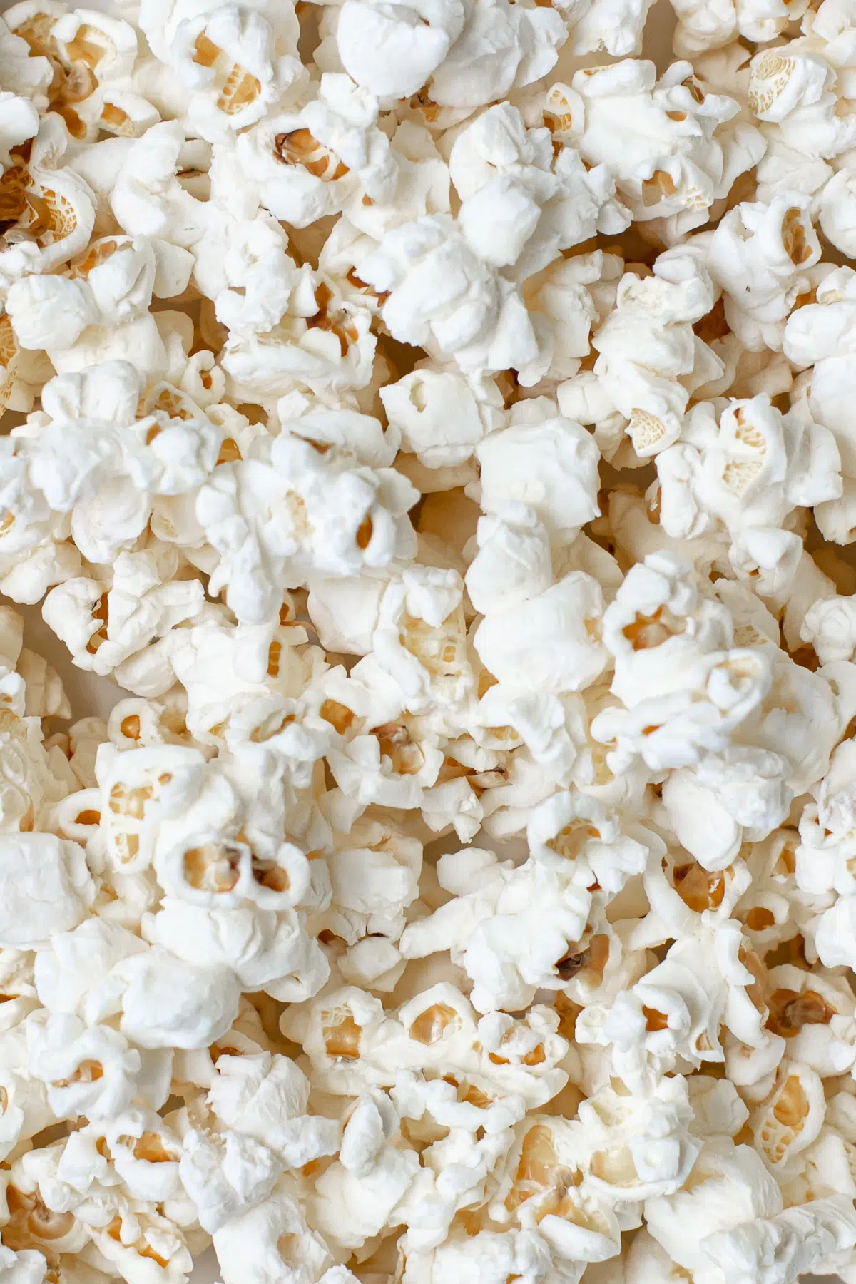 Blog - In the Classroom - Your Classroom Survival Guide to Shakespeare Movie Adaptations & Videos - shakespeare movie adaptations