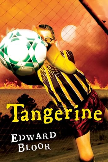 Book cover: Teen male wearing soccer uniform and glasses diving for ball in front of goal. In background fire burns.