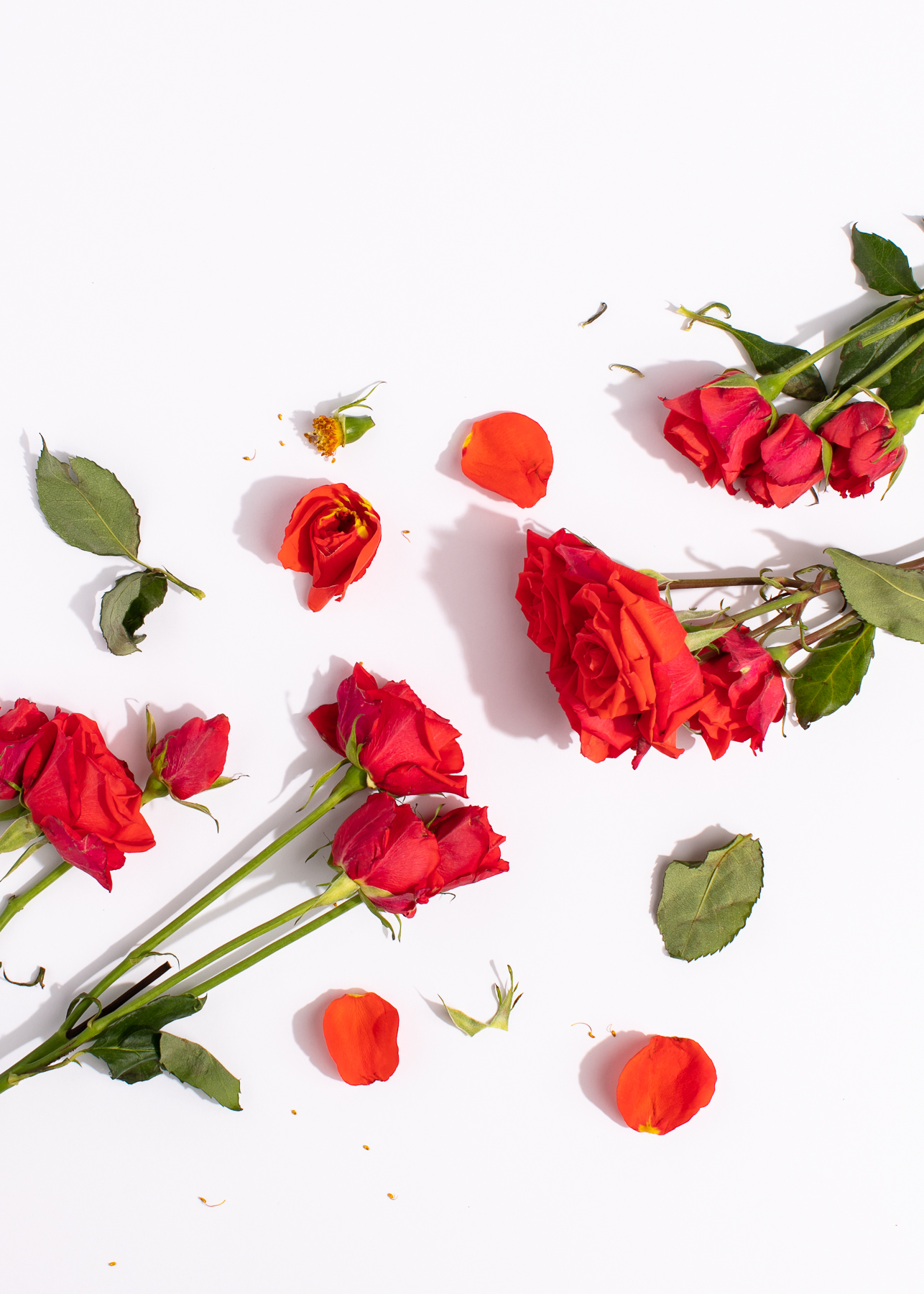 Blog - YA Books - 12 More Top-Notch Mystery Books for Teens - mystery books for teens