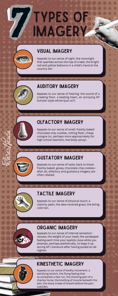 8 Evocative Poems with Imagery for AP Literature. 7 Types of Imagery infographic. Same as text in body of blog post.