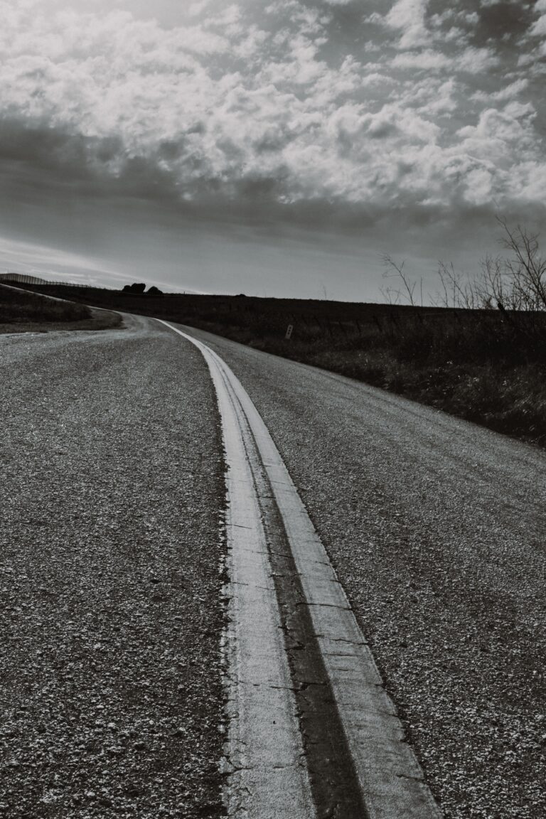 The Road by Cormac McCarthy: The AP Literature Novel That Does Everything